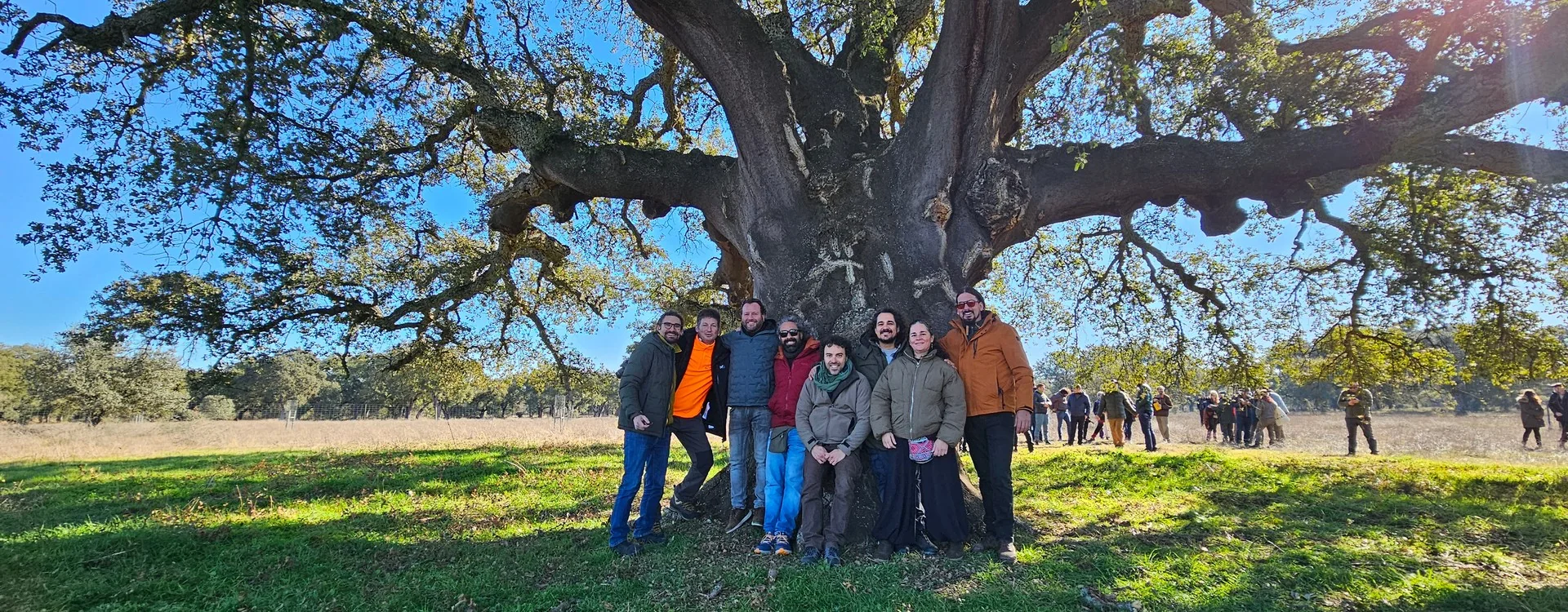 Grupo de Nemus junto a un árbol de gran porte