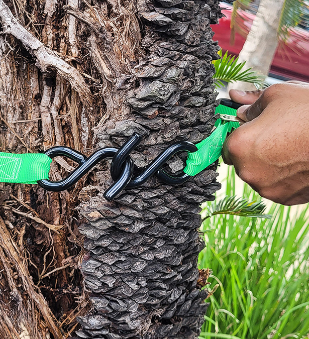 aprendizaje nemus arboricultura